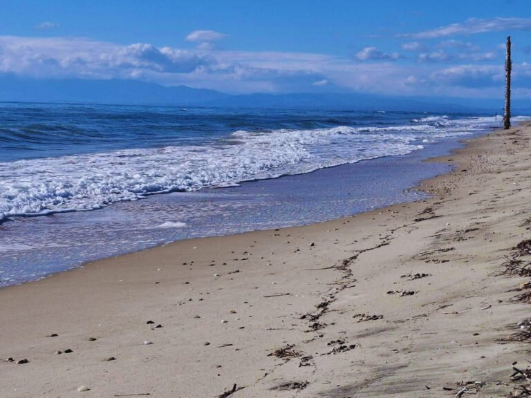 e9f0f66f-a11e-4221-8363-3b8f3829213c