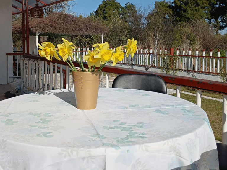 Filia Apartments Terrace